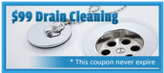 drain cleaning coupon